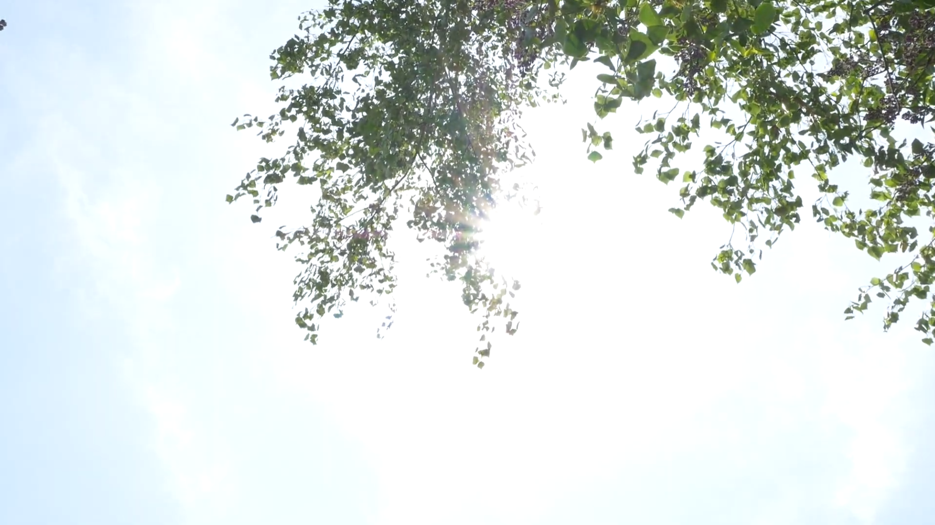 photo3